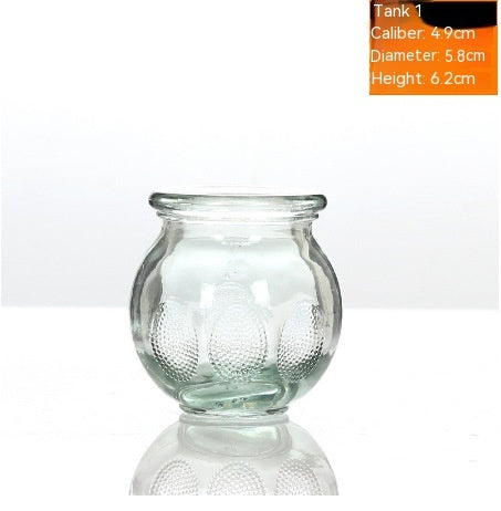 Skönhetssalong Bad Hushållsglas Vacuum Cupping Device