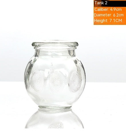 Skönhetssalong Bad Hushållsglas Vacuum Cupping Device